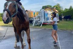 387f1cbf-5a6a-45f5-865d-906fda2b7d3e