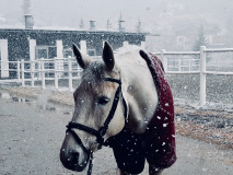 152689c4-98fd-4cff-8137-01f8c3d16be8