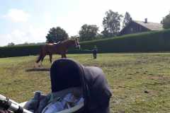 c38adced-f543-41e9-9509-198733b477bf